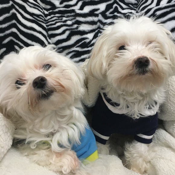 Meet your Posher, Melissa - Picture 2 of 2